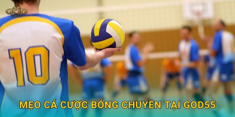Mẹo cá cược bóng chuyền tại God55