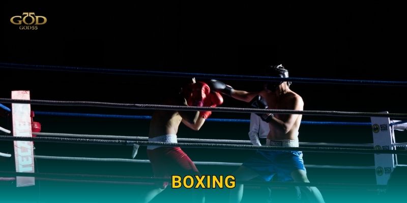 Boxing – Cược quyền anh kịch tính, tỉ lệ thưởng cao tại God55