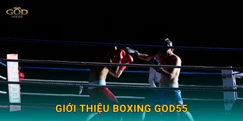 Giới thiệu Boxing God55