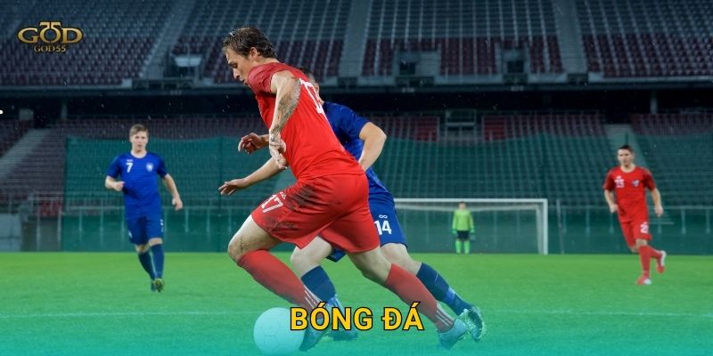 Bóng đá